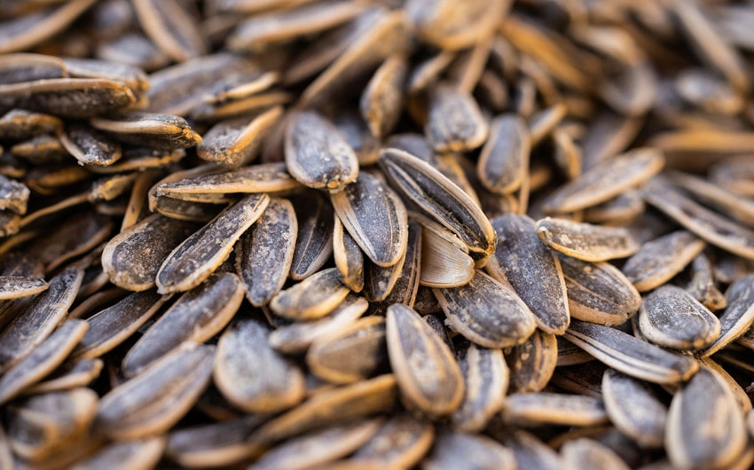 Sunflower Seeds