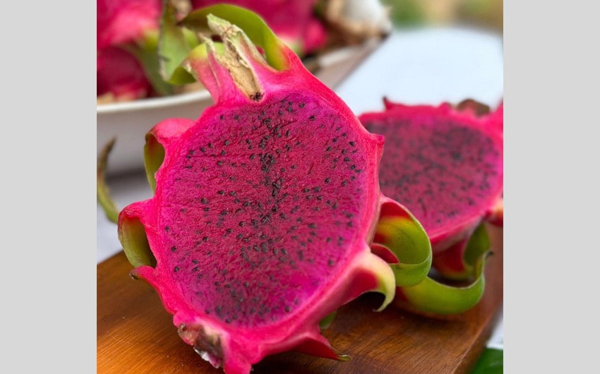 Xerophyte Fruits