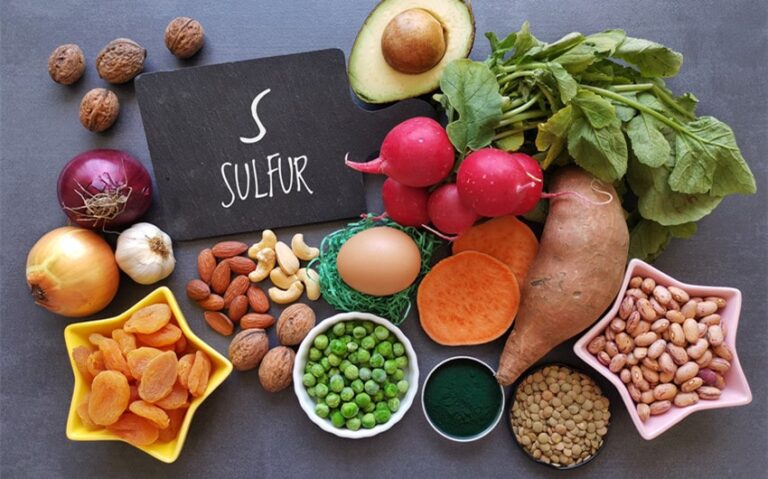 Enhance Your Diet with 25 Foods That Contain Sulfur