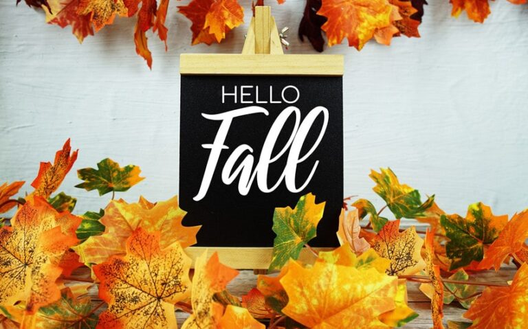 64 Words That Rhyme with Fall for Your Writing