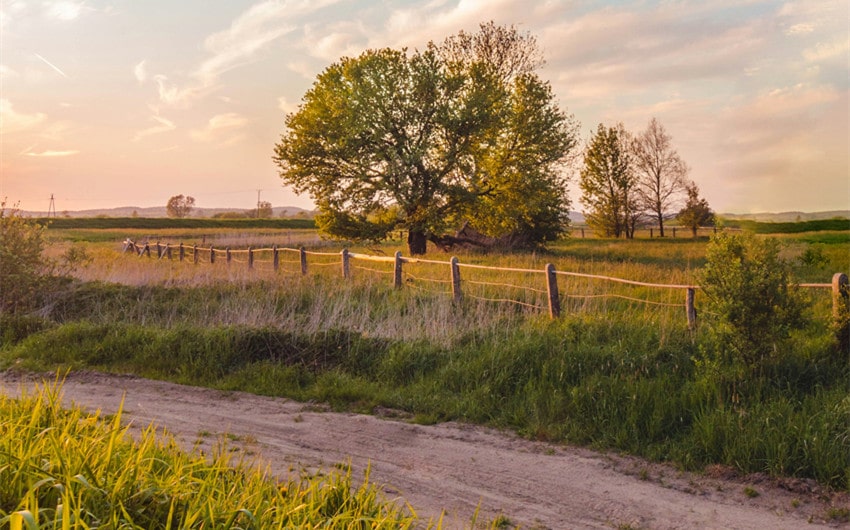 Countryside